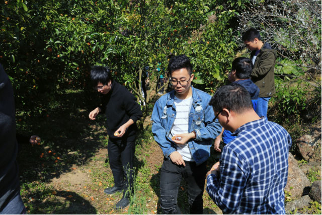 首页|3499拉斯维加斯集团官方网站